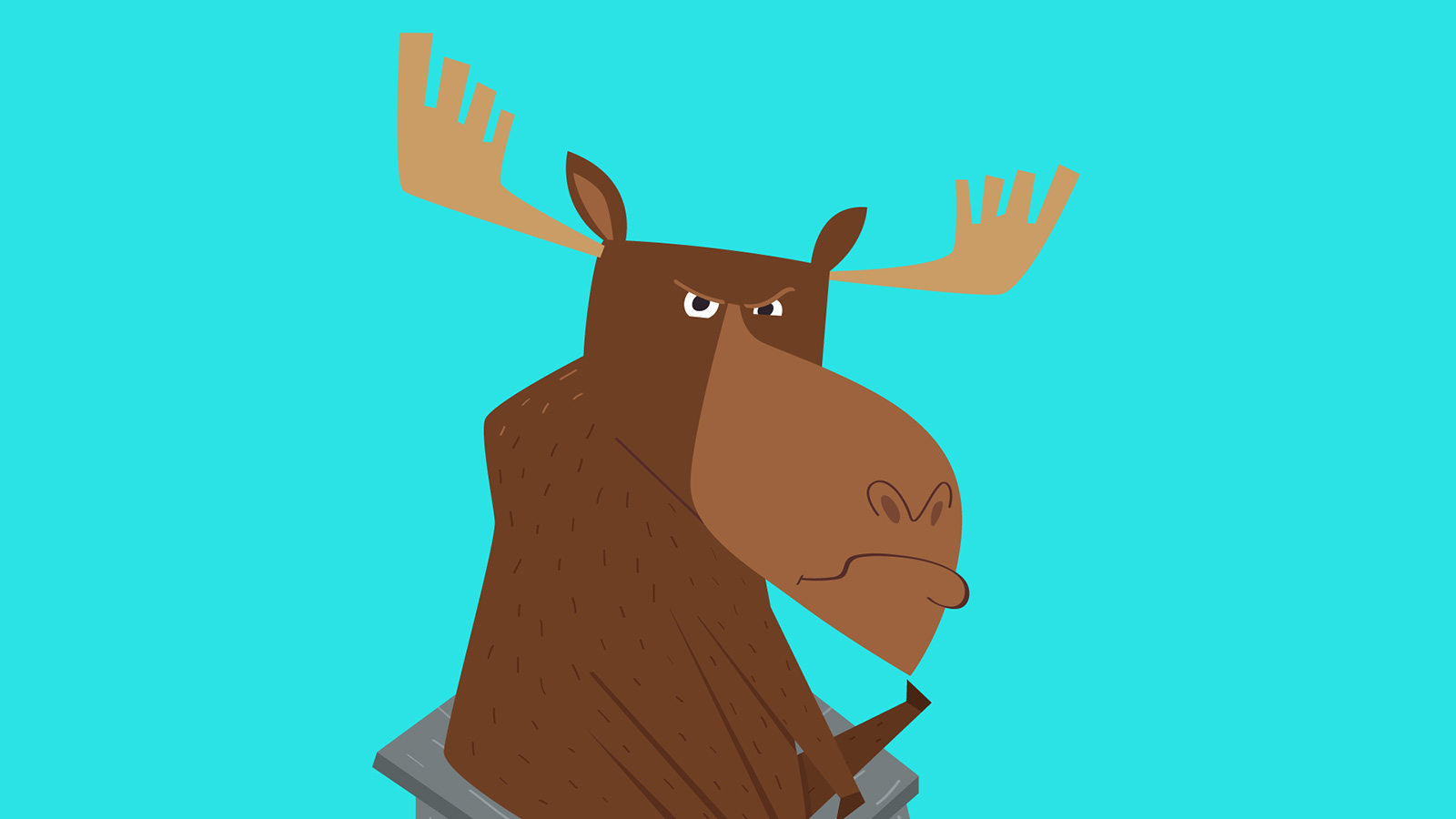 Just a moose